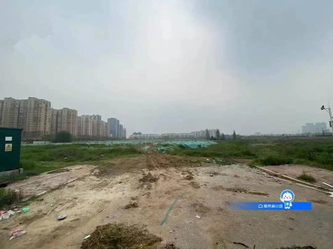 麦收后的南行之路，多元解读与前行之路