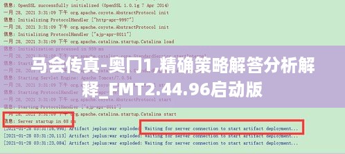 马会传真-奥冂1,精确策略解答分析解释_FMT2.44.96启动版
