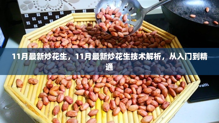 从入门到精通，最新炒花生技术解析与实战指南（11月版）