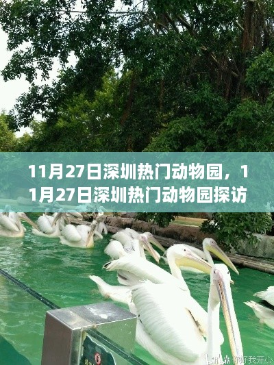 11月27日深圳热门动物园深度游探秘之旅