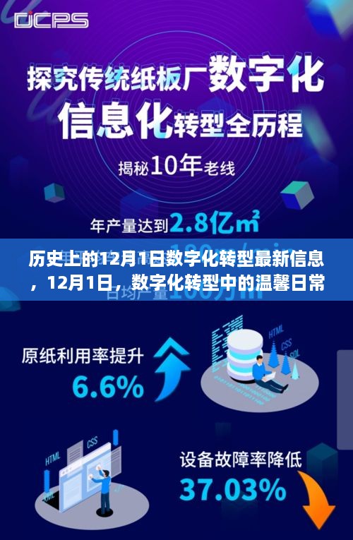 12月1日数字化转型进展，家的温馨与数字化转型的交融之路
