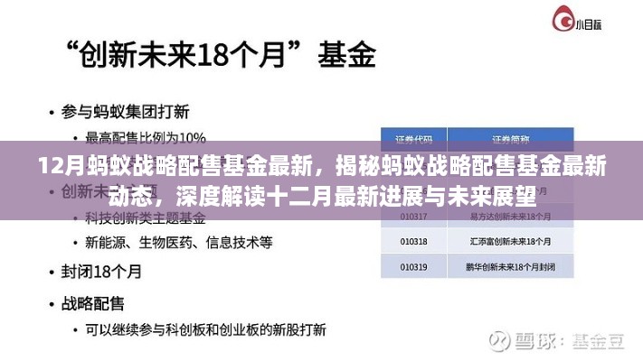 揭秘蚂蚁战略配售基金最新动态，深度解读十二月进展与未来展望