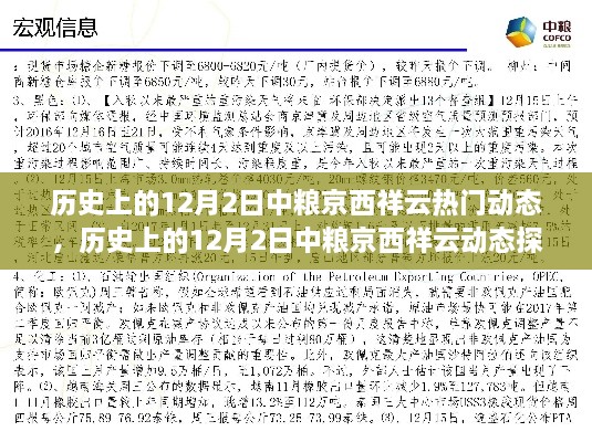 揭秘历史12月2日中粮京西祥云的热门动态与深度探析，某某观点阐述