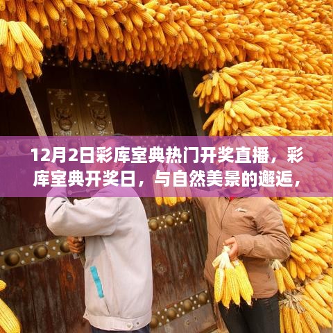 yibuzhongcai 第7页