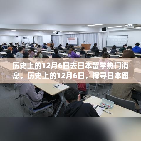 feiyangbohu 第7页