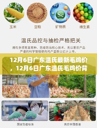niaojilincui 第6页