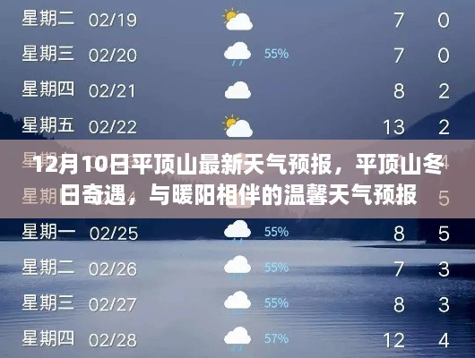 平顶山冬日奇遇，温馨天气预报与暖阳相伴的天气预报更新通知