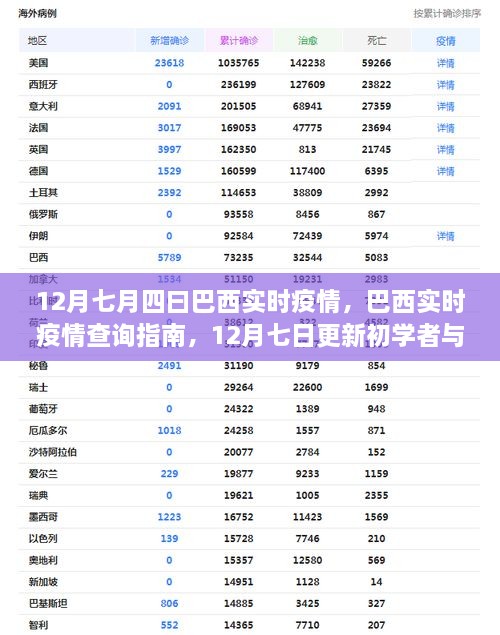 巴西实时疫情查询指南，从初学者到进阶用户，轻松掌握最新疫情动态（12月七日更新）