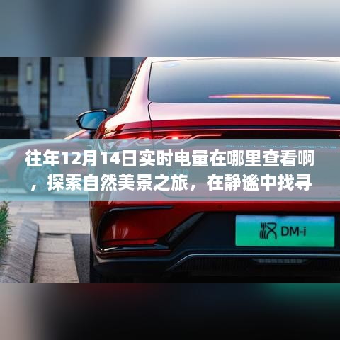 xiamakanhua 第6页