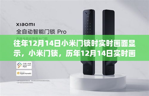 小米门锁历年12月14日实时画面展示的智能安全体验