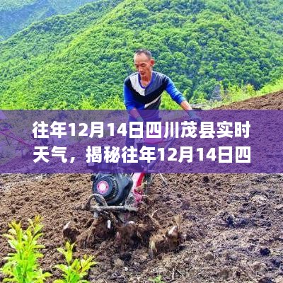 揭秘，四川茂县往年12月14日实时天气概况