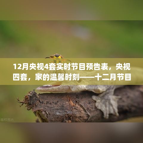 anshiwulou 第6页