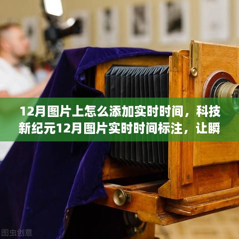 zhangchanghuamei 第5页
