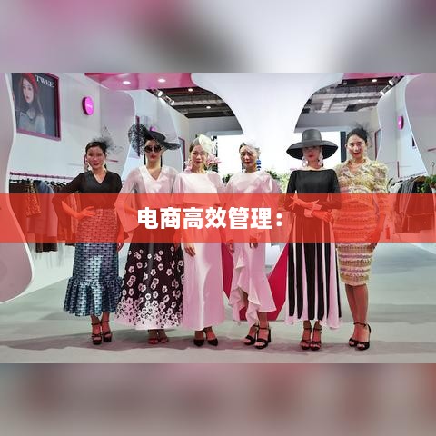 电商高效管理： 