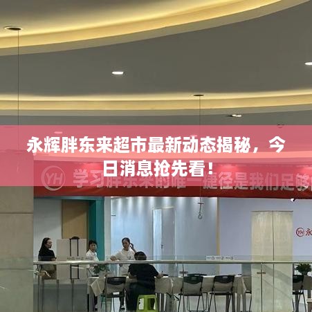 开张圣听 第3页
