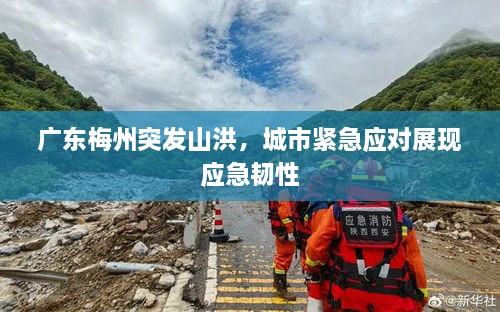广东梅州突发山洪，城市紧急应对展现应急韧性