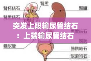 避繁就简 第2页