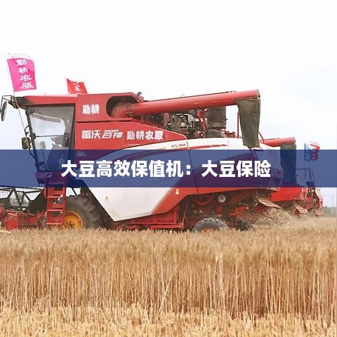 大豆高效保值机：大豆保险 