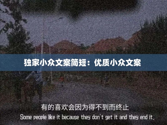 独家小众文案简短：优质小众文案 