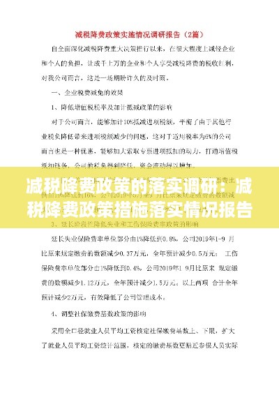减税降费政策的落实调研：减税降费政策措施落实情况报告 