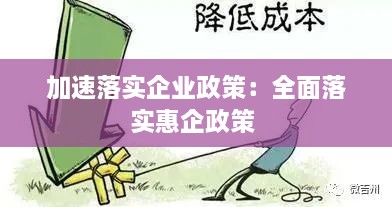 加速落实企业政策：全面落实惠企政策 