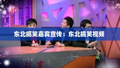 东北搞笑嘉宾宣传：东北搞笑视频 