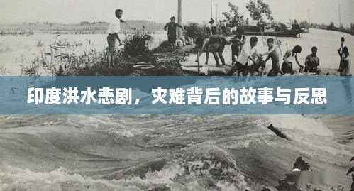 印度洪水悲剧，灾难背后的故事与反思