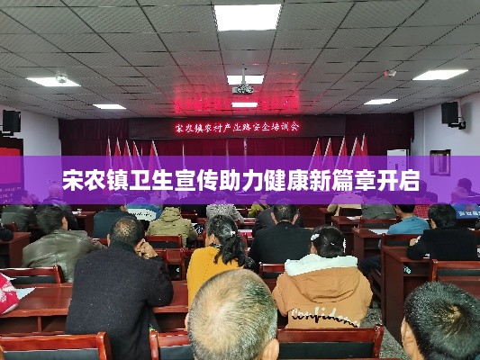 宋农镇卫生宣传助力健康新篇章开启