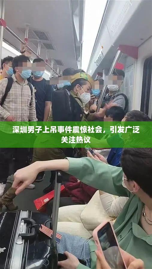 开张圣听 第2页