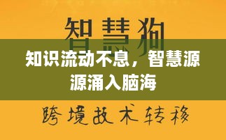 知识流动不息，智慧源源涌入脑海