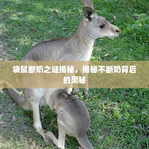 shoubushijuan 第2页