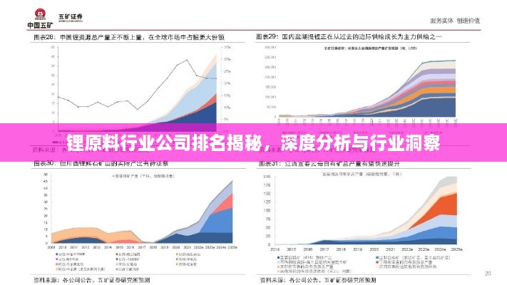 锂原料行业公司排名揭秘，深度分析与行业洞察