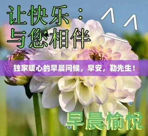 独家暖心的早晨问候，早安，勒先生！