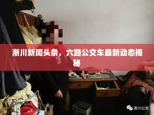 淅川新闻头条，六路公交车最新动态揭秘