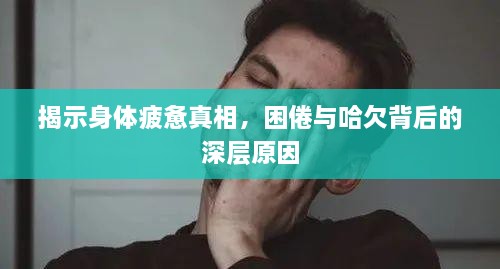 揭示身体疲惫真相，困倦与哈欠背后的深层原因
