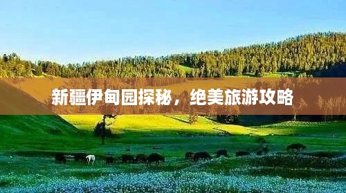 新疆伊甸园探秘，绝美旅游攻略