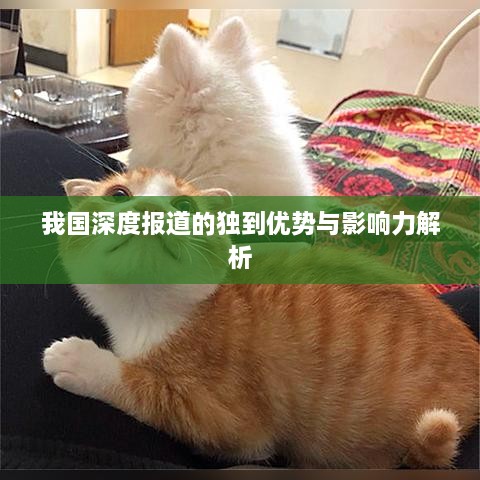 我国深度报道的独到优势与影响力解析