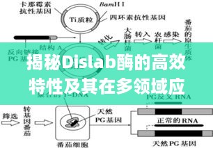揭秘Dislab酶的高效特性及其在多领域应用的奥秘