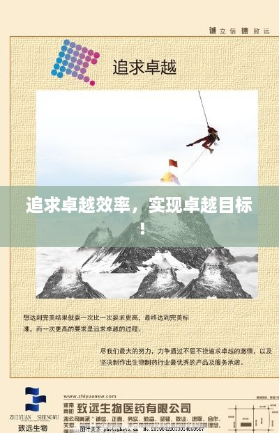 追求卓越效率，实现卓越目标！