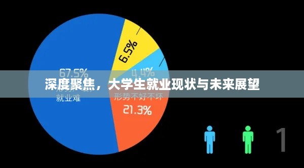 深度聚焦，大学生就业现状与未来展望