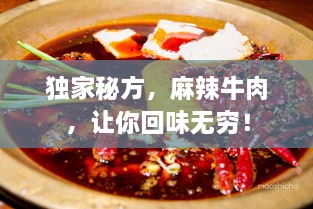 独家秘方，麻辣牛肉，让你回味无穷！