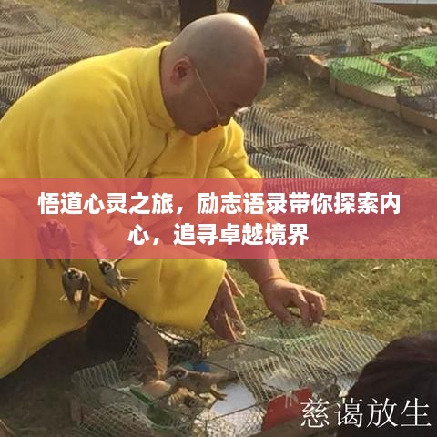 悟道心灵之旅，励志语录带你探索内心，追寻卓越境界