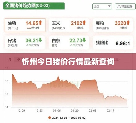 忻州今日猪价行情最新查询