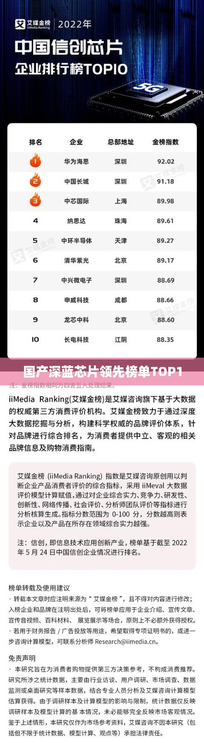 国产深蓝芯片领先榜单TOP10