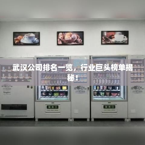 武汉公司排名一览，行业巨头榜单揭秘！