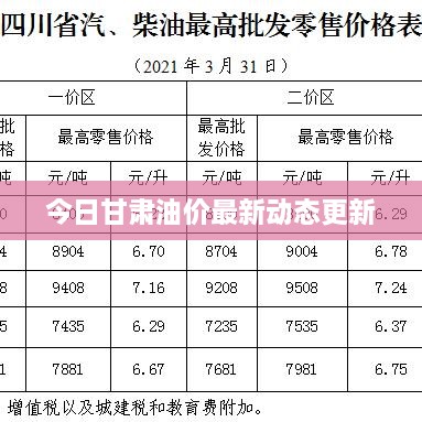 今日甘肃油价最新动态更新