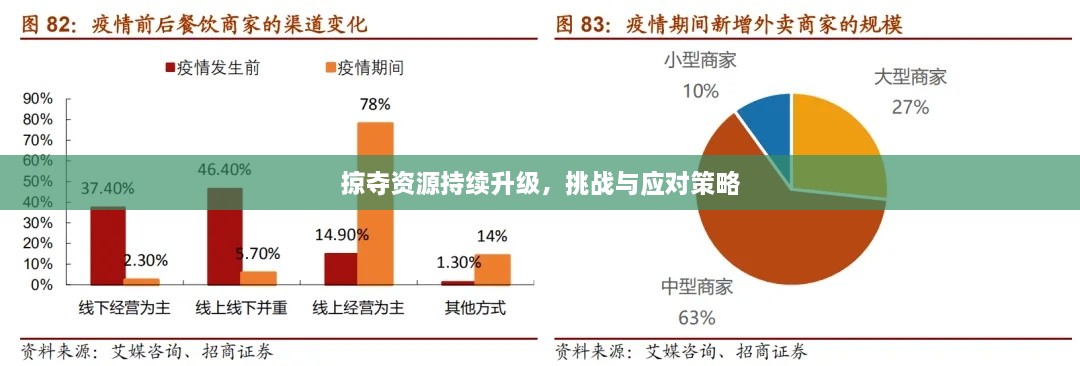 掠夺资源持续升级，挑战与应对策略