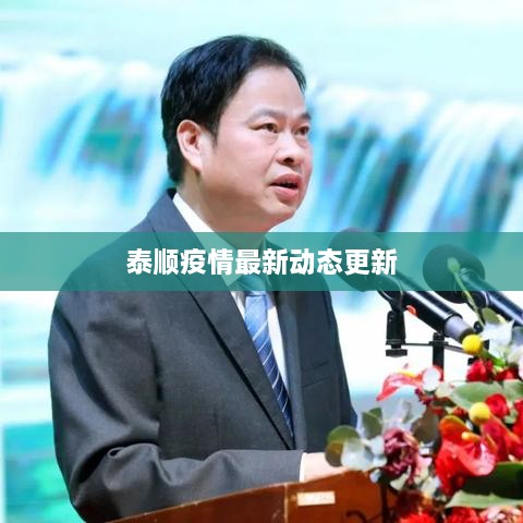 泰顺疫情最新动态更新