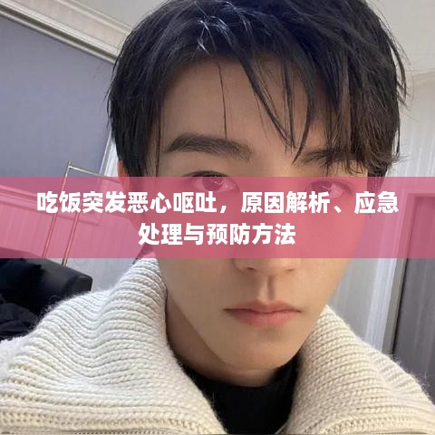feiqinwangyi