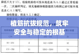 植筋抗拔规范，筑牢安全与稳定的根基